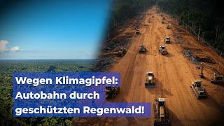 Wegen Klimagipfel: Autobahn durch geschützten Regenwald