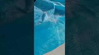 Solar Pool Cover - Owners Honest Review
