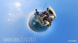 Diving with whale shark in Samaesarn