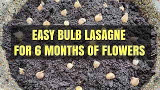 Bulb Lasagne | Layering Bulbs To Create A 6 Month Display Of Flowers | Perennial Cottage Garden