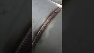 field 자세좋은위치  #tig #co2 #arc #art #welder #weld #welding #gtaw #final #pipe #visual #korea
