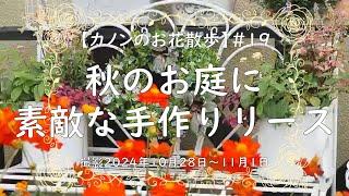 ＃19 　秋になり、伸びた寄せ植えのお花とそろそろ終わりのアスターをカットして綺麗にしました。ブラキカム、アリッサム、ビオラ、アジュガを使って素敵に仕上がった手作りリースもぜひご覧頂きたいと思います。