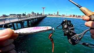 Fluke Fishing From Pier Coney Island NYC (Summer Flounder)