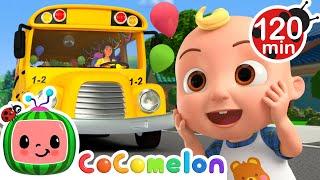 Wheels on the Birthday Bus!  + More Wheels On The Bus Songs  | CoComelon Nursery Rhymes for Kids