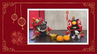 Happy Chinese New Year from the SmartSeller Team!