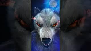 Curse of the werewolf (face transformed)