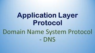 DNS Protocol