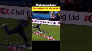 Mohammad Kaif best catch #shorts #mohammadkaif #legendsleaguecricket #gyaniasad