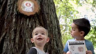 OSU Research Forests: Forest Discovery Program