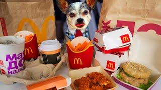 Повторяю меню McDonald’s для собак и кошки! Готовлю МакДональдс на День Рождения собаки