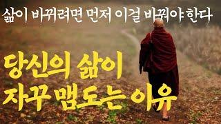 가난과 부는 여기서 갈린다|'이걸' 매일 하는 사람은 평생 가난 못 벗어납니다|제가 만났던 부자들 전부 다 '이 4가지를' 바꿨어요|부처님말씀|석가모니|ASMR|불교|법륜|법정