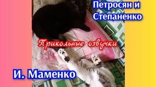 Забавный котёнок Филя Прикольные озвучки.