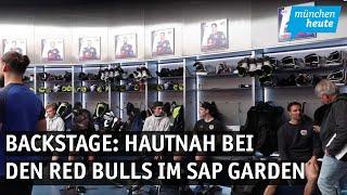 Ein Blick hinter die Kulissen – hautnah bei den Red Bulls im SAP Garden