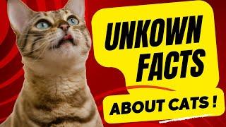 UNKNOWN FACTS ABOUT CATS - Cat's Knowhow