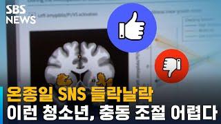 온종일 SNS 들락날락…이런 청소년, 충동 조절 어렵다 / SBS