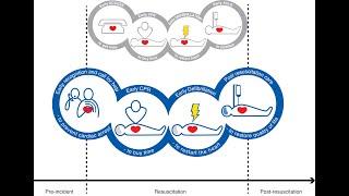 Acute resuscitation - Dr Hiren Mehta