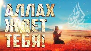 Аллах ждет тебя | Мухаммад Ратиб ан-Наблюси