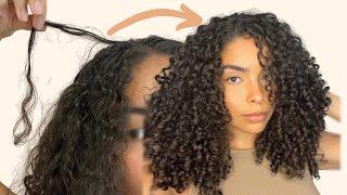 CURLY HAIR MOISTURE PROTEIN BALANCE ROUTINE | Fixing My Limp Curls!