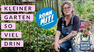 Gartenrundgang im Mai - 40 m2 Nutz- und Ziergarten I der kleine Horrorgarten