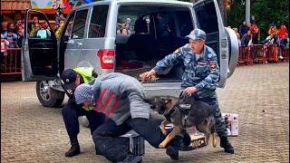 Праздник "Служба - дни и ночи" Демонстрация техники, обезвреживание преступников