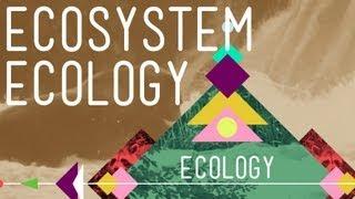 Ecosystem Ecology: Links in the Chain - Crash Course Ecology #7