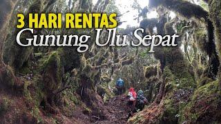 3 Hari Rentas Gunung Ulu Sepat, Kenapa Orang Sanggup ke Sini? Camping Hiking, Terserempak Panther