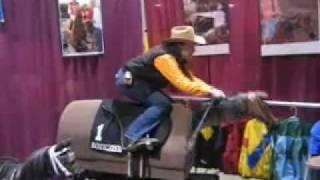 Stacy Westfall & Brownie the Equicizer