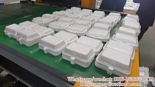 Disposable Fast Lunch Box Plate Production Line PS Food Box Container Vacuum Forming Making Machine