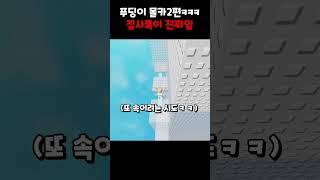 순진한 푸딩이 또 속여먹기ㅋㅋ