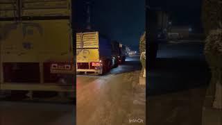 Приехали Молодняк КРС        Живой вес 280 кг