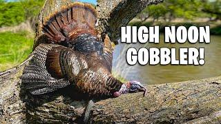 THIS BIRD IS ON FIRE!!! - Midday Turkey Hunt