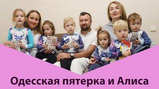 Знакомство и осмотр деток из одесской пятерни @ОдесскаяПятерка вместе с Алисочкой