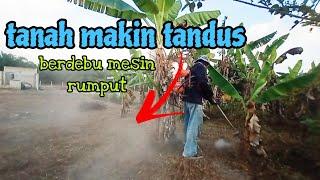 [Episod1081] kebun abah semakin tandus, mesin rumput pun naik berdebu