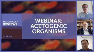 FEMS Microbiology Reviews Webinar on Acetogenic Organisms