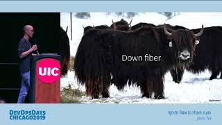 DevOpsDays Chicago 2019 - Jason Yee - How to shave a yak