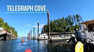 Kayaking and whales at telegraph cove | Vancouver Island