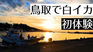 【爆釣】高級なシロイカが簡単に釣れるので価値観おかしくなる