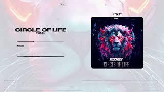 FixMix - Circle Of Life