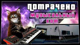 Музыкальный кот | ПОТРАЧЕНО | приколы 2020