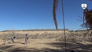 طريقة صيد العصافير بشبكه صيد السمك/How to hunt birds with a network