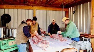 Pig Butchering What it Really Takes to Harvest 2 Pigs at Home (Over 500 Pounds)