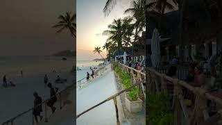 Amazing Kenya 