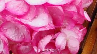 제주에서 가장 제주스러운 곳. 우도입니다.「우도감성펜션」_스테이인우도에서