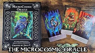 The MicroCosmic Oracle