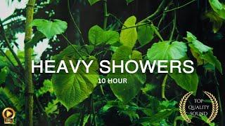 10 Hour | Heavy Rain Sounds | Deep Sleep | Deep Relaxation | Deep Meditation