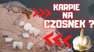 KARPIE NA CZOSNEK ?! -Nietypowe przynęty #1