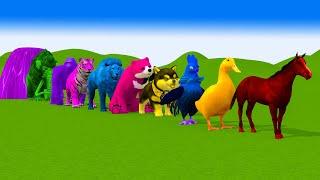 Paint & Animals Duck,Horse,Cow,Elephent,Cat,Bear Fountain Crossing Transformation Animal Cartoon