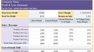 Profit and Loss Statement in Excel | Profit and Loss Statement Excel Template | P & L Statement