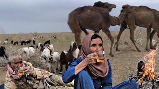 Shepherding in the Iranian desert ️ | No Water, No Grass, Just Survival ️