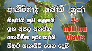 Ashirwada Bodhi Puja  - ආශිර්වාද බෝධි පුජා